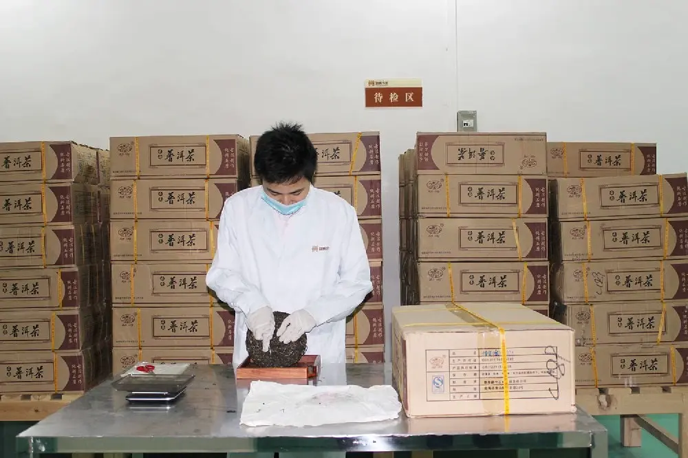 自贡普洱茶检验展示